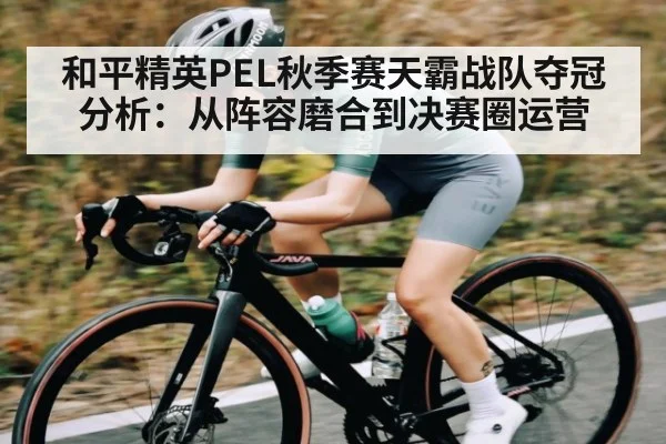 和平精英PEL秋季赛天霸战队夺冠分析：从阵容磨合到决赛圈运营