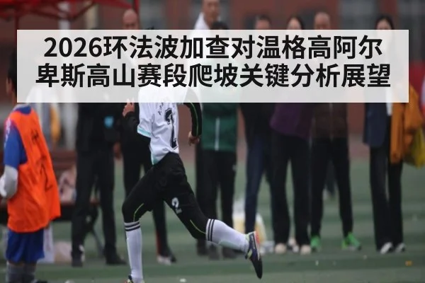 2026环法波加查对温格高阿尔卑斯高山赛段爬坡关键分析展望