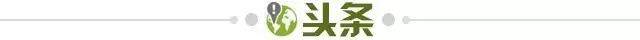 5392702a-496d-4b62-9bda-4b85006d56c7.jpg@!img01